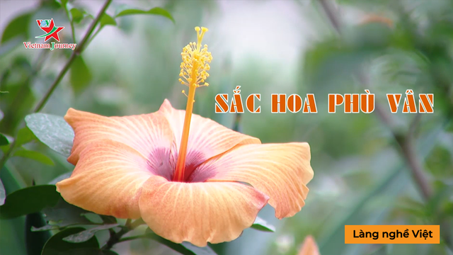 Sắc hoa Phù Vân - Làng Nghề Việt