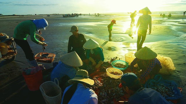 Khám phá vẻ đẹp vùng đất và người Nam Định (phần 2)