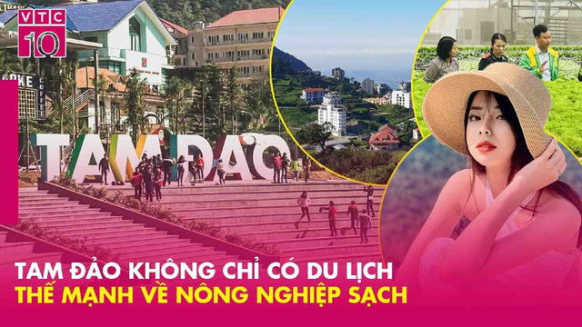Tam Đảo - Viên Ngọc Xanh Giữa Lòng Vĩnh Phúc
