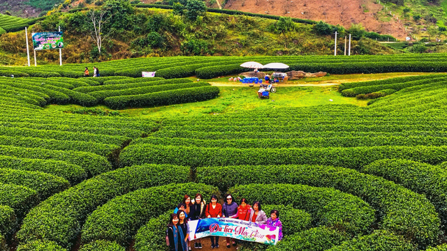 Khám phá nông trường Mộc châu (phần 2)