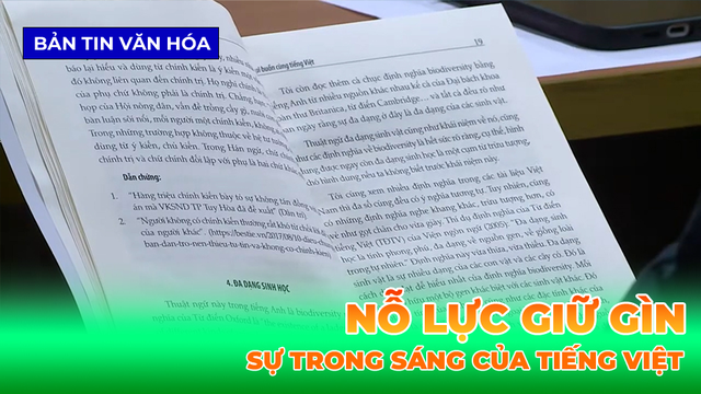 Nỗ Lực Giữ Gìn Sự Trong Sáng Của Tiếng Việt