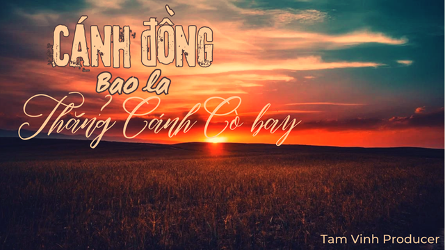 Cánh Đồng Bao La Thẳng Cánh Cò Bay - Tam Vinh Producer