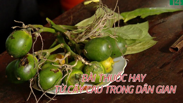 Bài thuốc hay từ cây cau trong dân gian - Phần 1