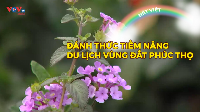 Đánh thức tiềm năng du lịch vùng đất Phúc Thọ