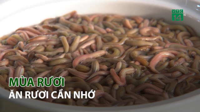 Mùa rươi - Ăn rươi cần nhớ 1