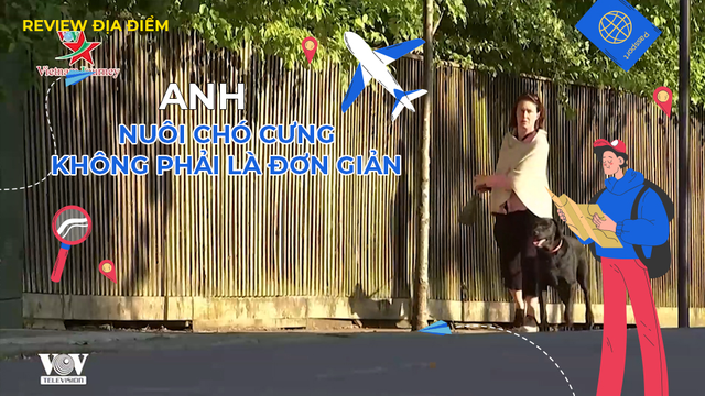 Nuôi chó cưng không phải là đơn giản