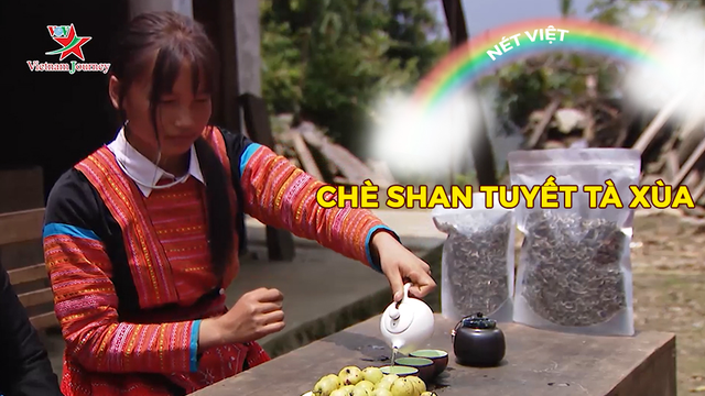 Chè shan tuyết Tà Xùa