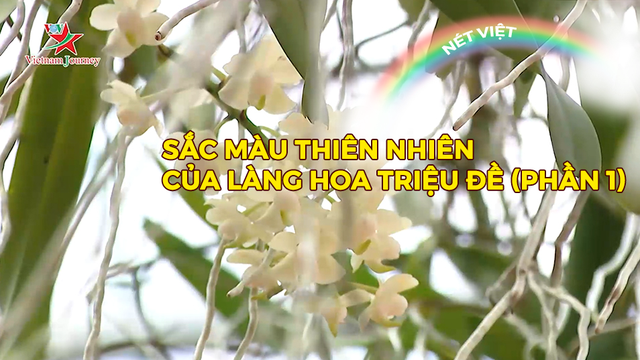 Sắc màu thiên nhiên của làng hoa Triệu Đề (phần 1)