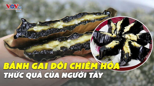 BÁNH GAI ĐÔI Chiêm Hóa p3