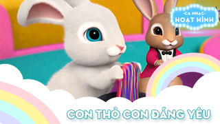 Ca khúc Con thỏ con đáng yêu