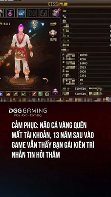 Cảm Phục- Não Cá Vàng Quên Mất Tài Khoản, 13 Năm Sau Vào Game Vẫn Thấy Bạn Gái Kiên Trì Nhắn Tin Hỏi Thăm