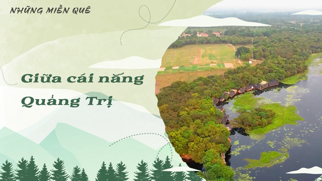 Giữa cái nắng Quảng Trị