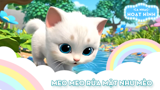 Ca khúc Meo meo rửa mặt như mèo