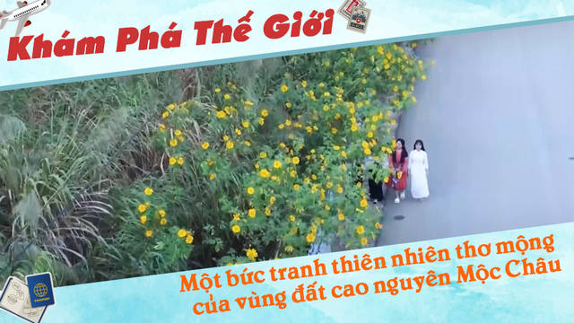 Một bức tranh thiên nhiên thơ mộng của vùng đất cao nguyên Mộc Châu