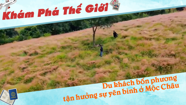 Du khách bốn phương tận hưởng sự yên bình ở Mộc Châu