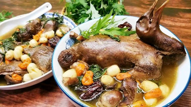 Chim Câu Tần Hạt Sen – Món Bổ Dưỡng Mùa Đông