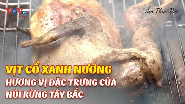 Hơi Ấm Bếp Lửa – Vịt Cổ Xanh Nướng Tây Bắc