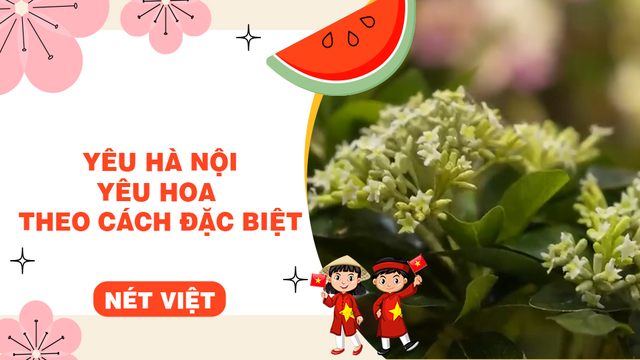 Yêu Hà Nội, yêu hoa theo cách đặc biệt
