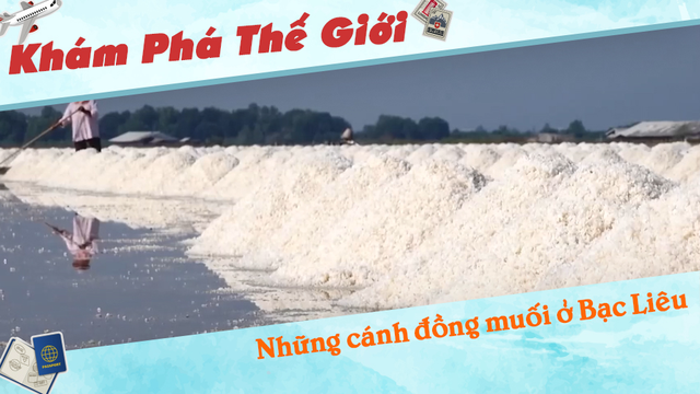 Những cánh đồng muối ở Bạc Liêu