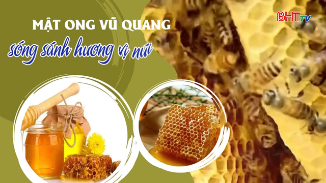 Mật Ong Vũ Quang – Vàng Óng Núi Rừng Hà Tĩnh