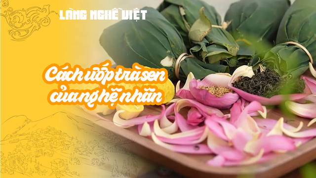 Cách ướp trà sen của nghệ nhân