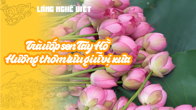 Trà ướp sen Tây Hồ - Hương thơm lưu giữ vị xưa