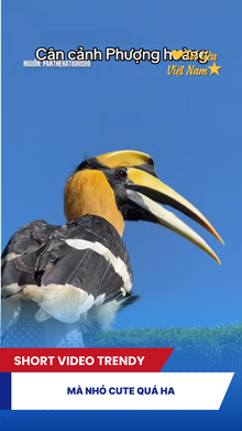 Mà nhỏ cute quá ha