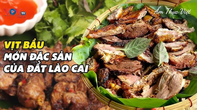 Vịt Bầu Lào Cai – Tinh Túy Ẩm Thực Tây Bắc