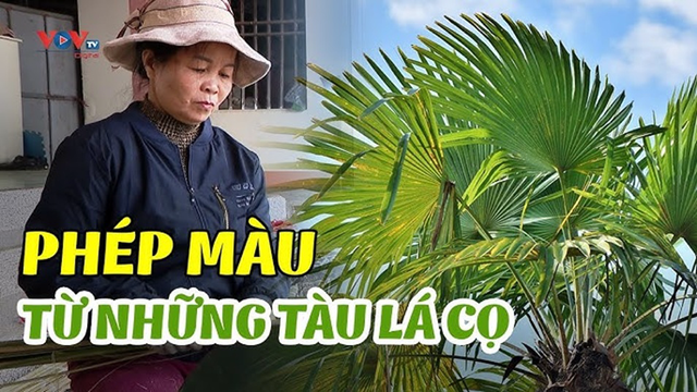 Phép Màu Từ Những Tàu Lá Cọ Ở Xóm Núi Định Hóa