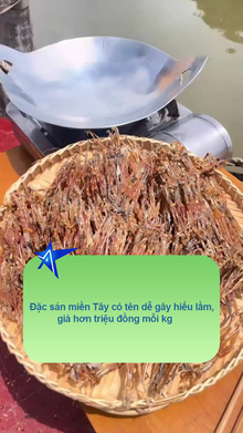 Đặc sản miền Tây có tên dễ gây hiểu lầm, giá hơn triệu đồng mỗi kg