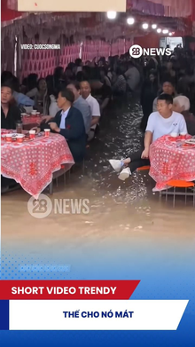 Thế cho nó mát
