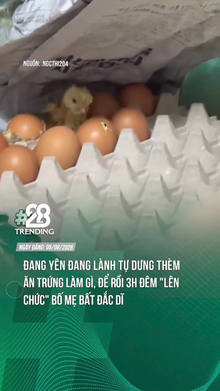 Tự dưng được làm bố mẹ bất đắc dĩ