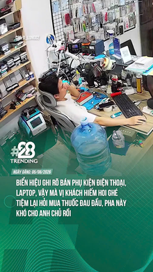 Đã ghi rõ vậy rồi mà