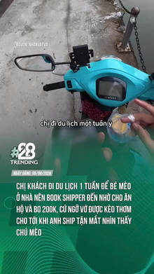 Kèo thơm cho a Shipper