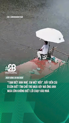 Tạm biệt anh nhé, em mệt rồi