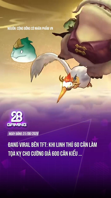 Linh thú 60 cân làm tọa kỵ